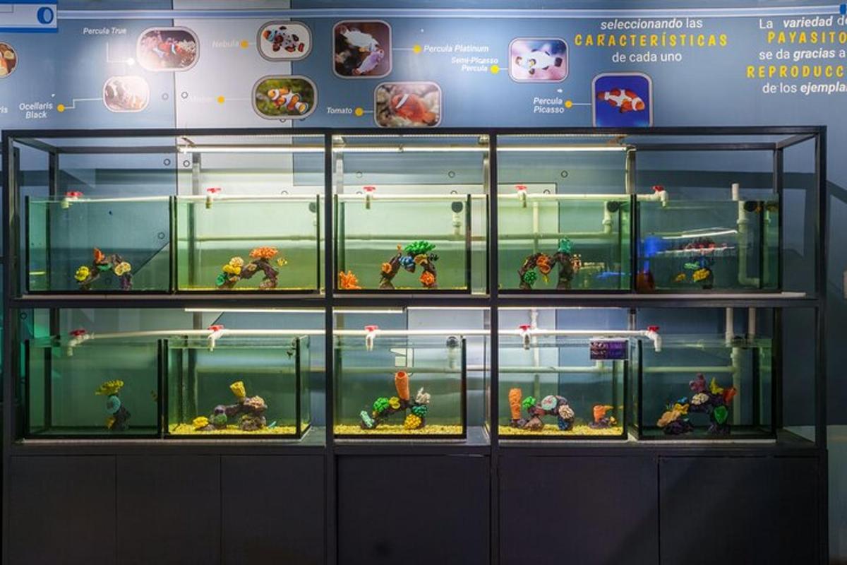 a display case filled with lots of different lego figurines