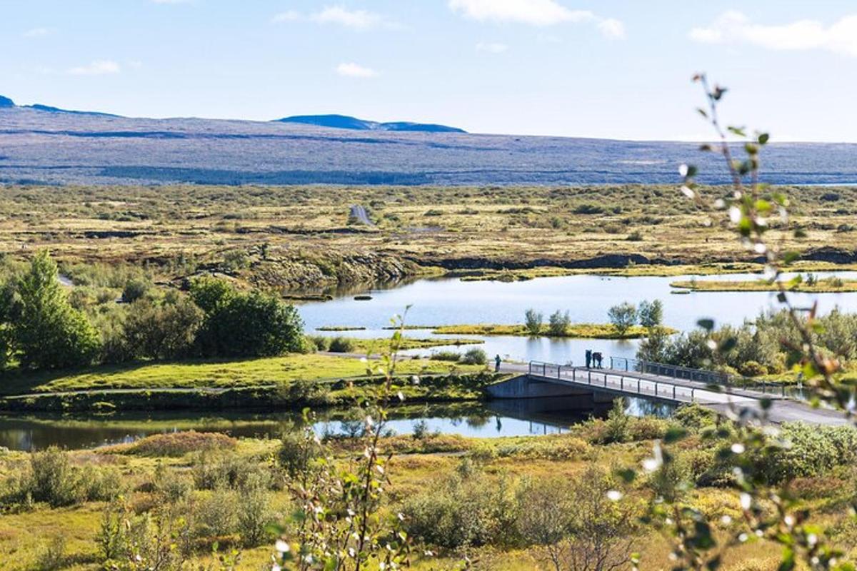 un ponte sopra uno specchio d'acqua in un campo