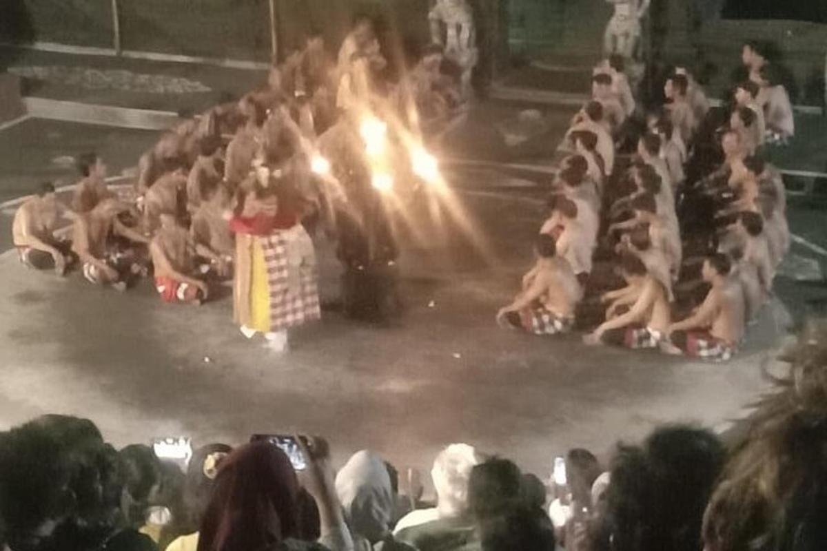 um grupo de pessoas assistindo a um show de circo