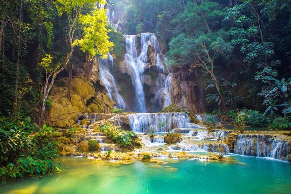 a waterfall in the jungle with a pool of water