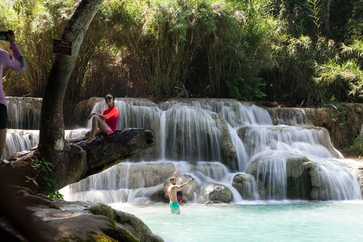 two people sitting on a tree branch in a waterfall