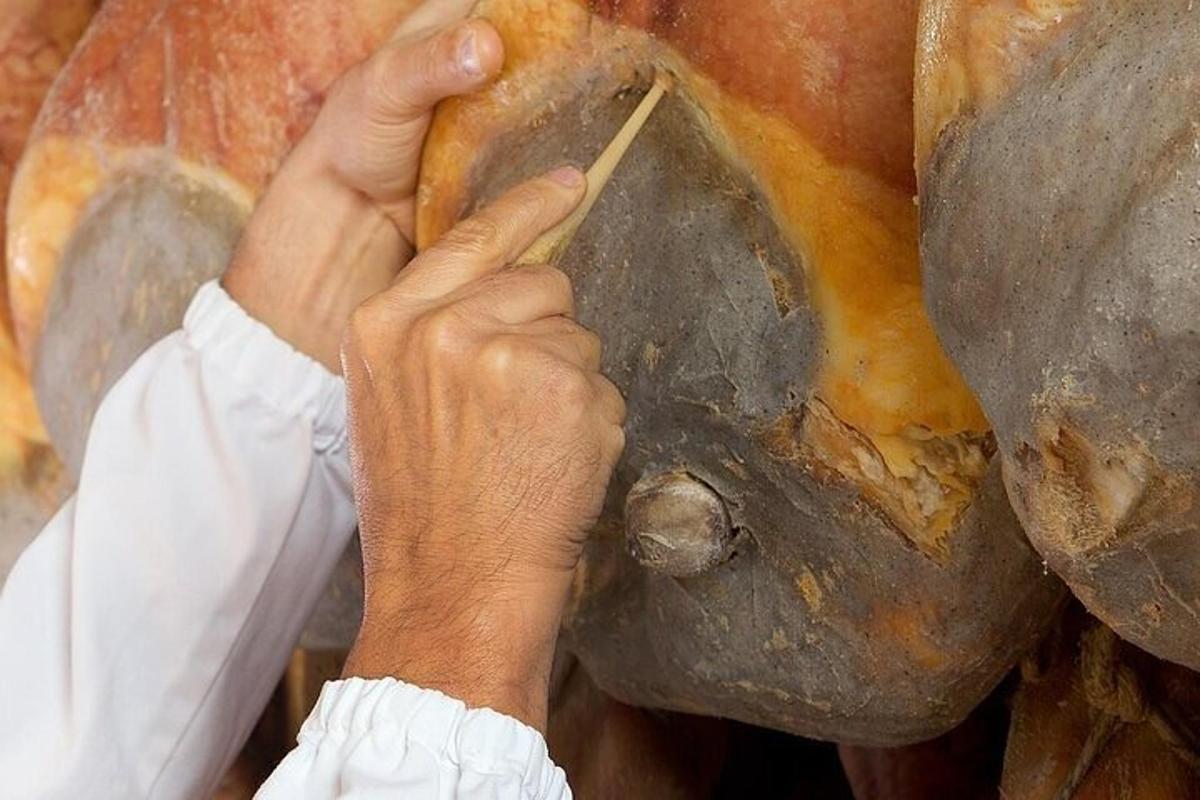 seseorang yang memegang sebatang kayu di hadapan seekor lembu