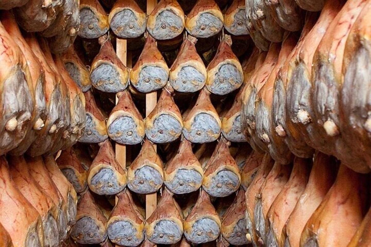 close up dinding kayu dengan corak