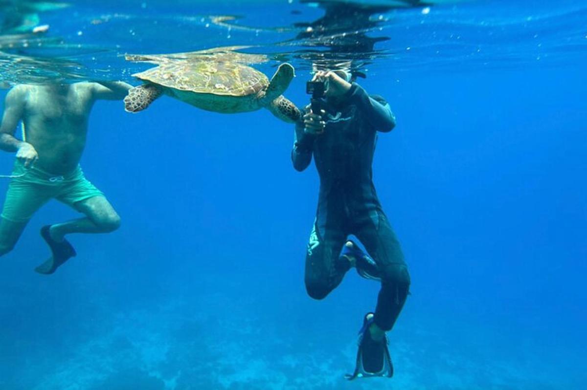 due persone che nuotano nell'acqua con una tartaruga