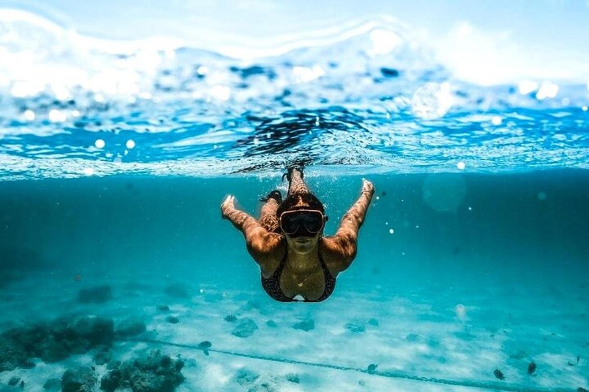 Fotografia da atração 1