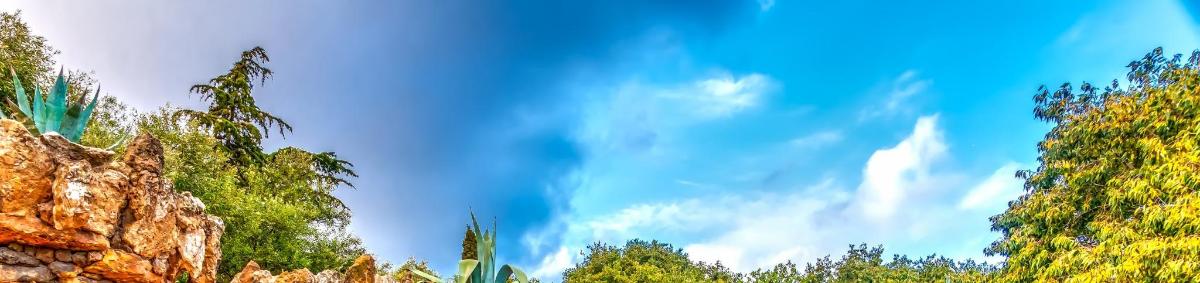 langit biru dengan awan dan pokok di latar belakang