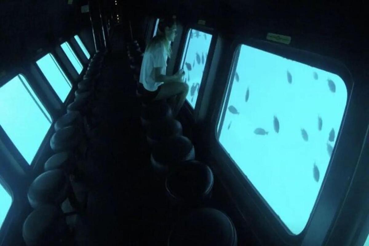 una persona sta guardando fuori dai finestrini di un aereo