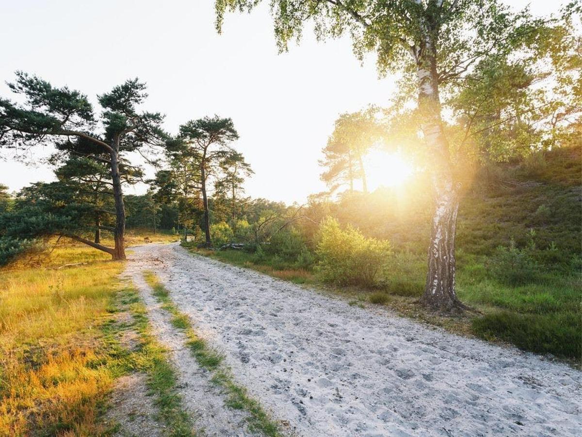 Billede 2 af seværdigheden