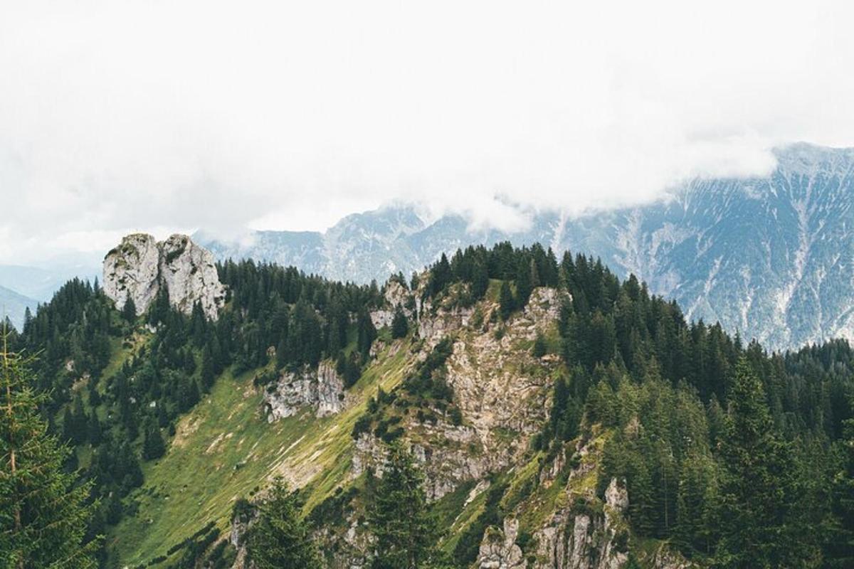 una montagna con alberi e montagne sullo sfondo