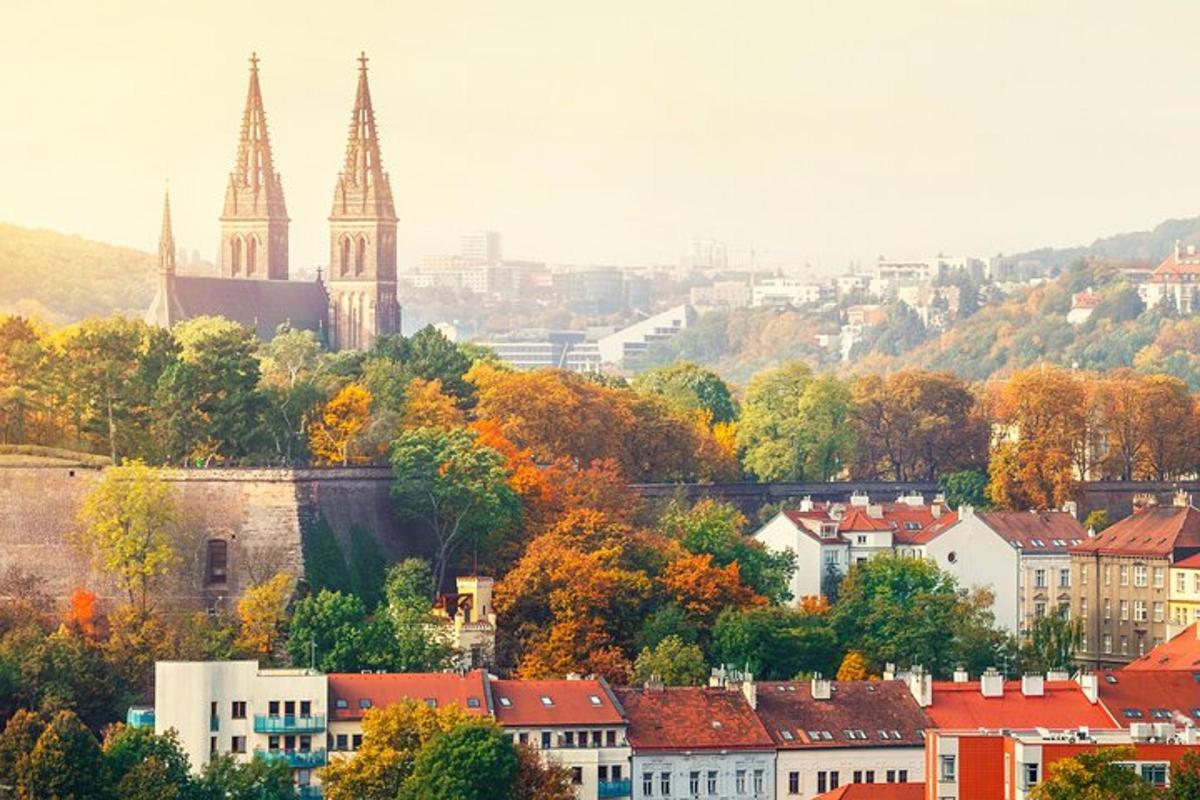 pohled na město s kostelem a stromy