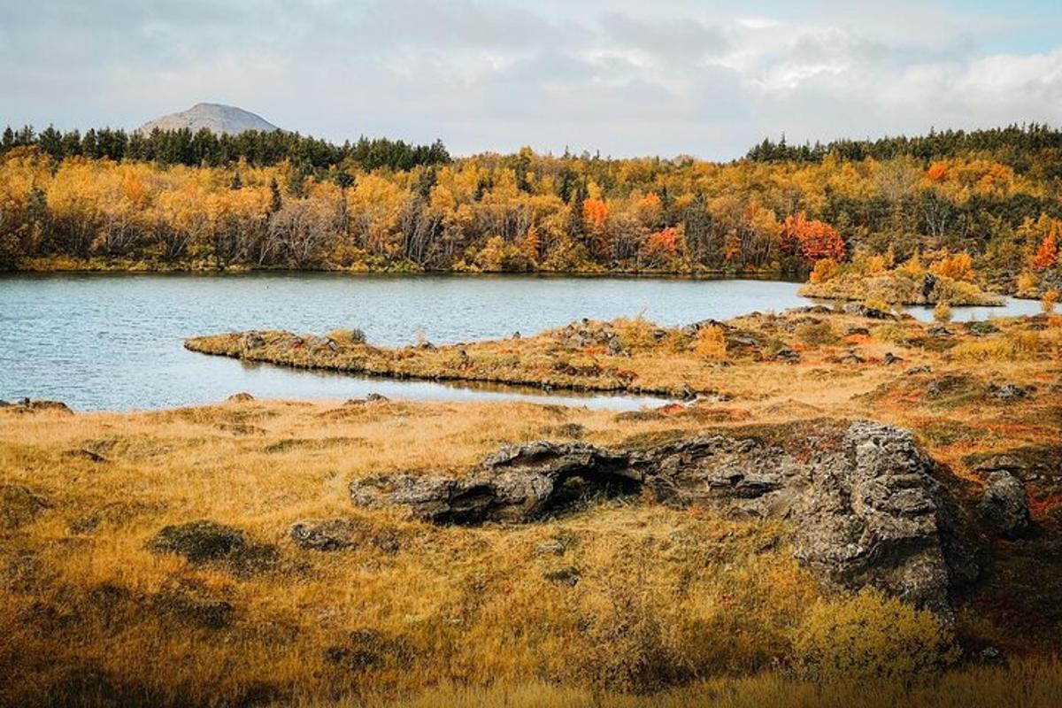 jezero uprostřed pole se stromy