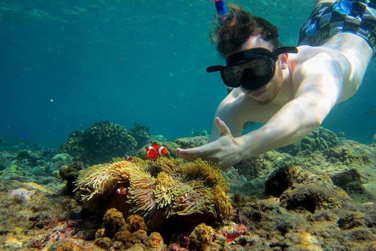 Un hombre está nadando sobre un arrecife de coral.