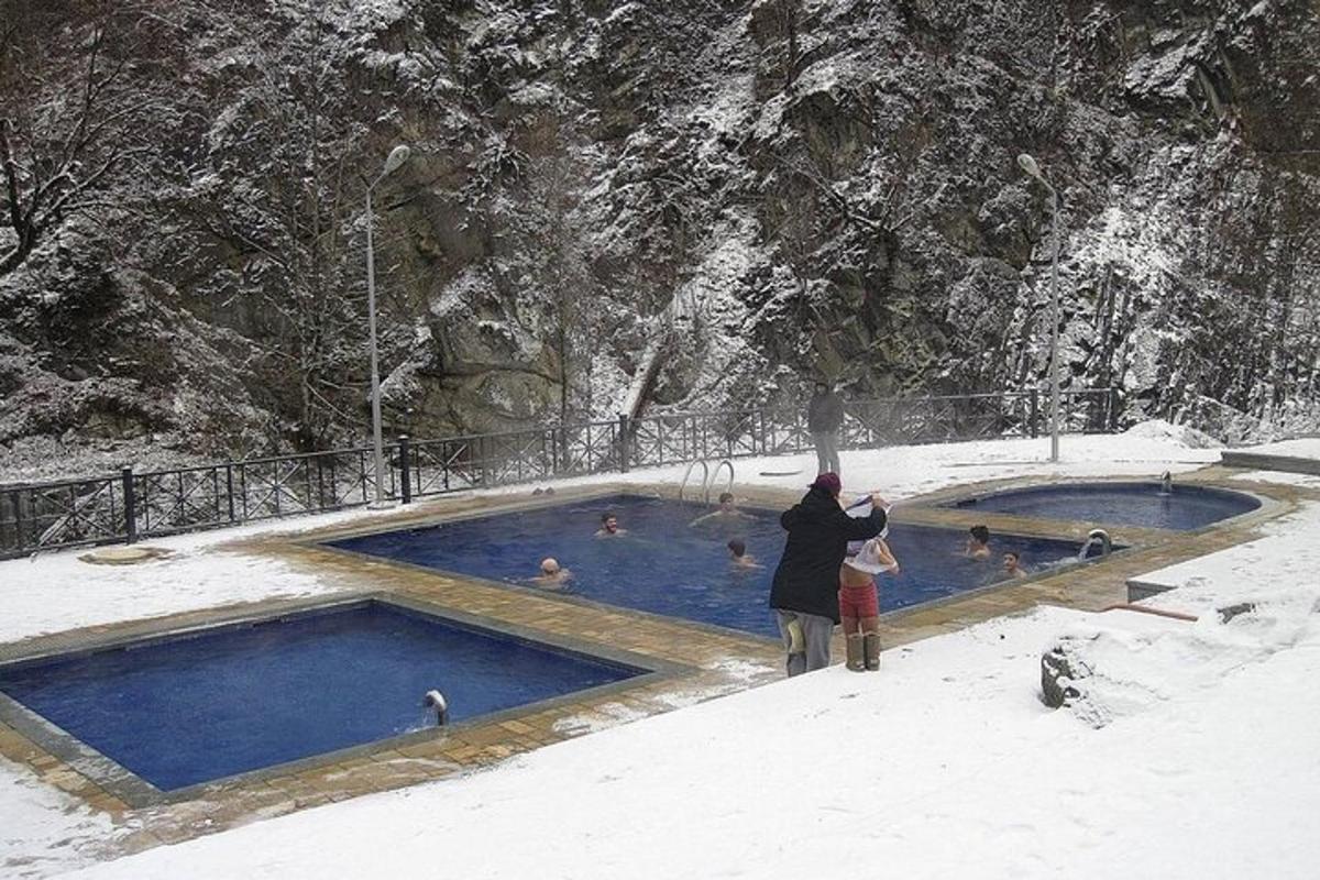 seseorang yang berdiri di sebelah kolam renang di dalam salji