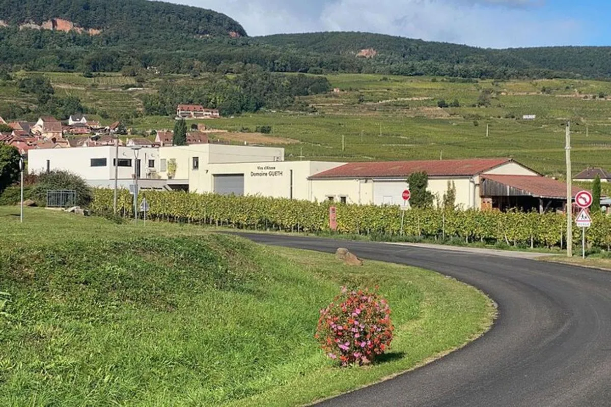 Colmar : visite de cave et dégustation de 7 vins bio avec vigneronne, 1 h – photo 4