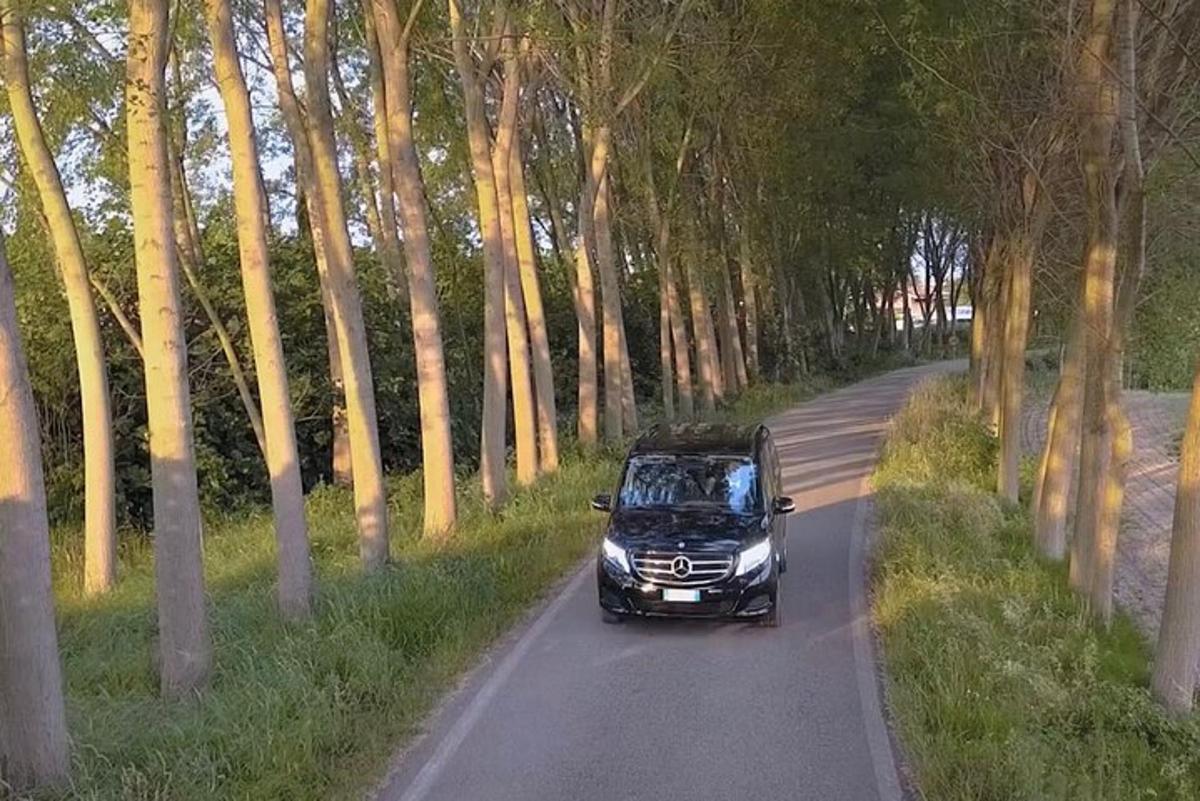 un'auto nera che percorre una strada alberata