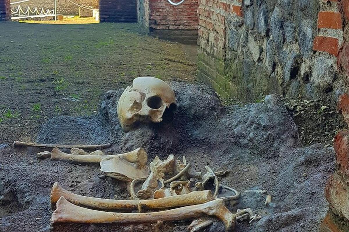 kaukolė ir kaulai ant žemės šalia plytų sienos