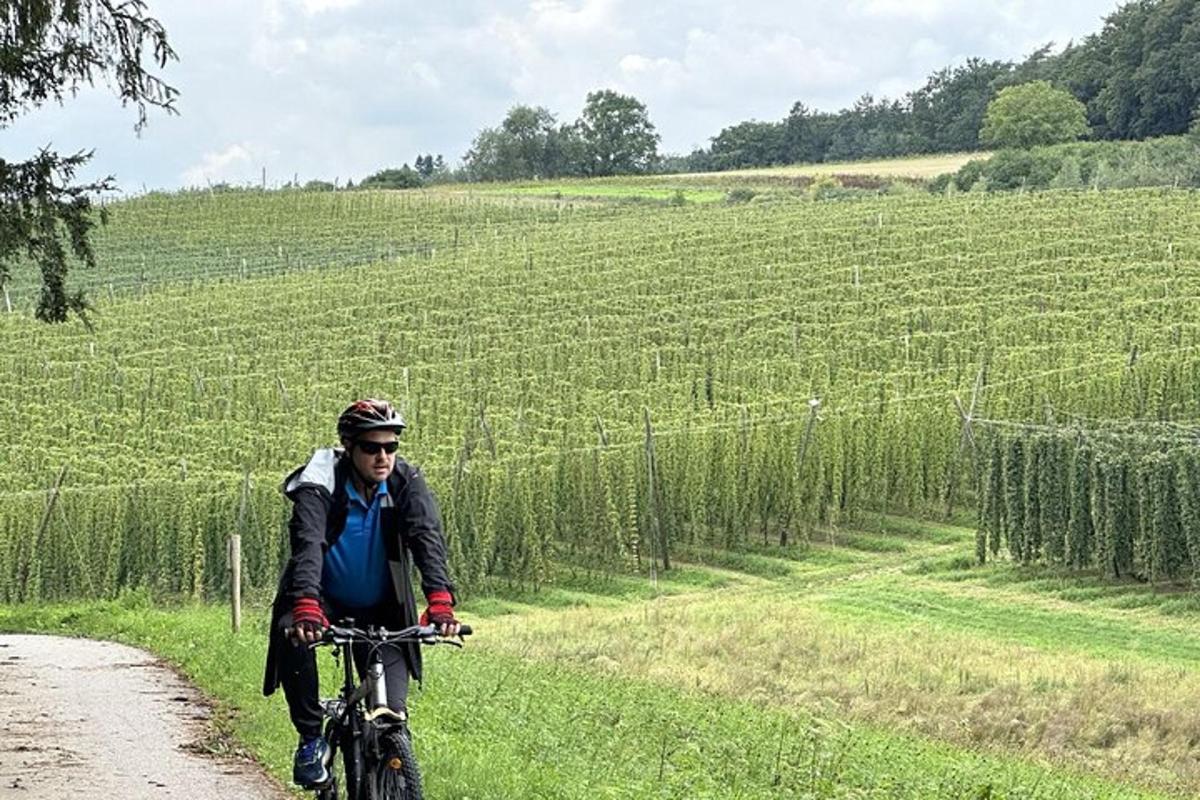 a man riding a bike down a dirt road in a vineyard