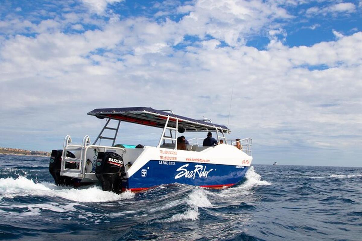 bot biru dan putih di dalam air