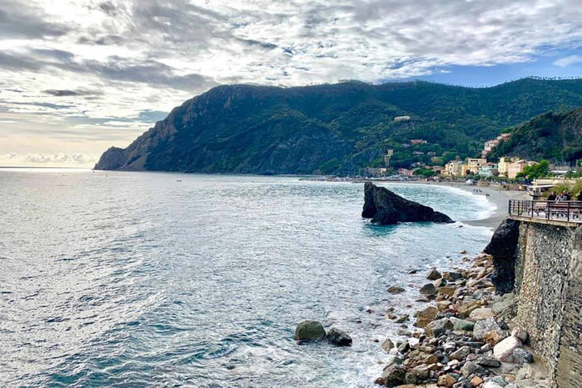 一片有沙滩和山的水域