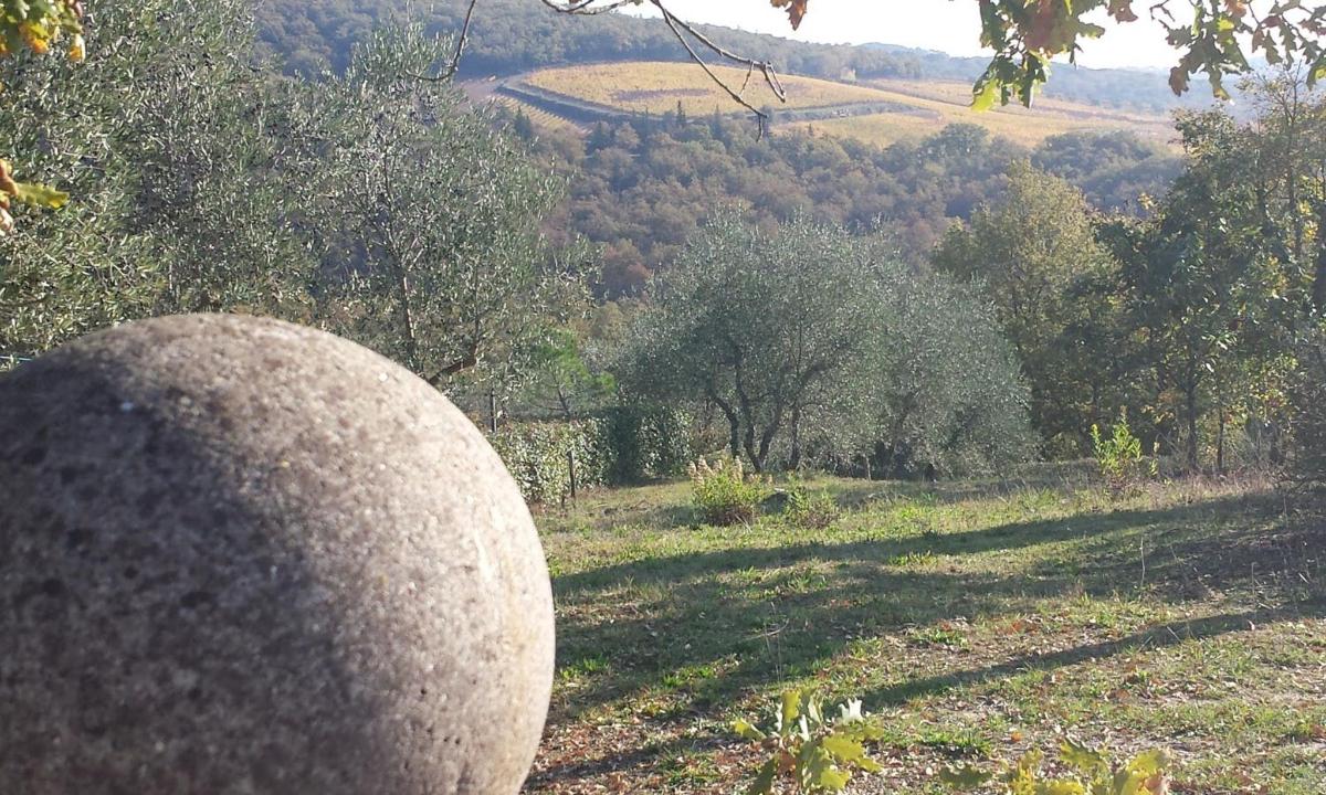 ένας μεγάλος βράχος που κάθεται σε ένα χωράφι με δέντρα