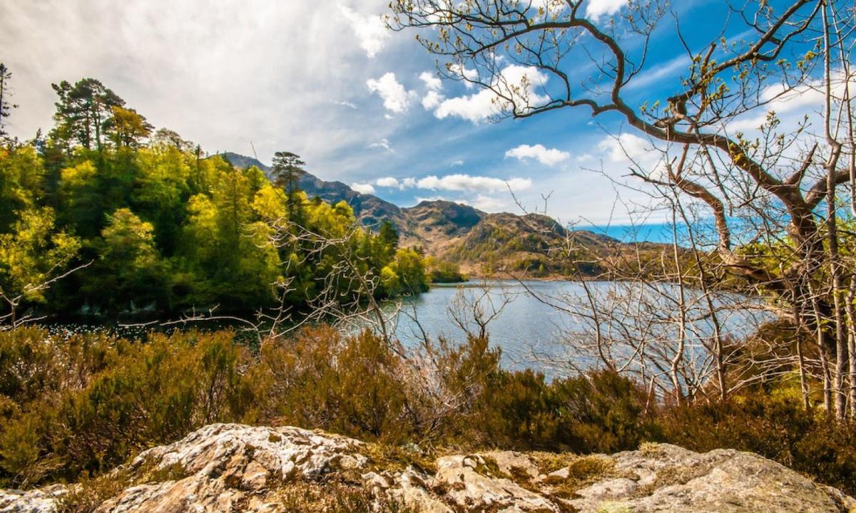 pohled na jezero s horami v pozadí