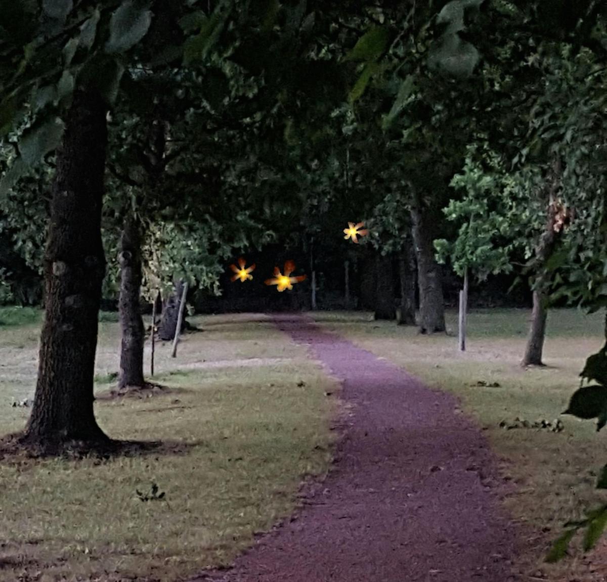 un chemin dans un parc avec des arbres et des lumières