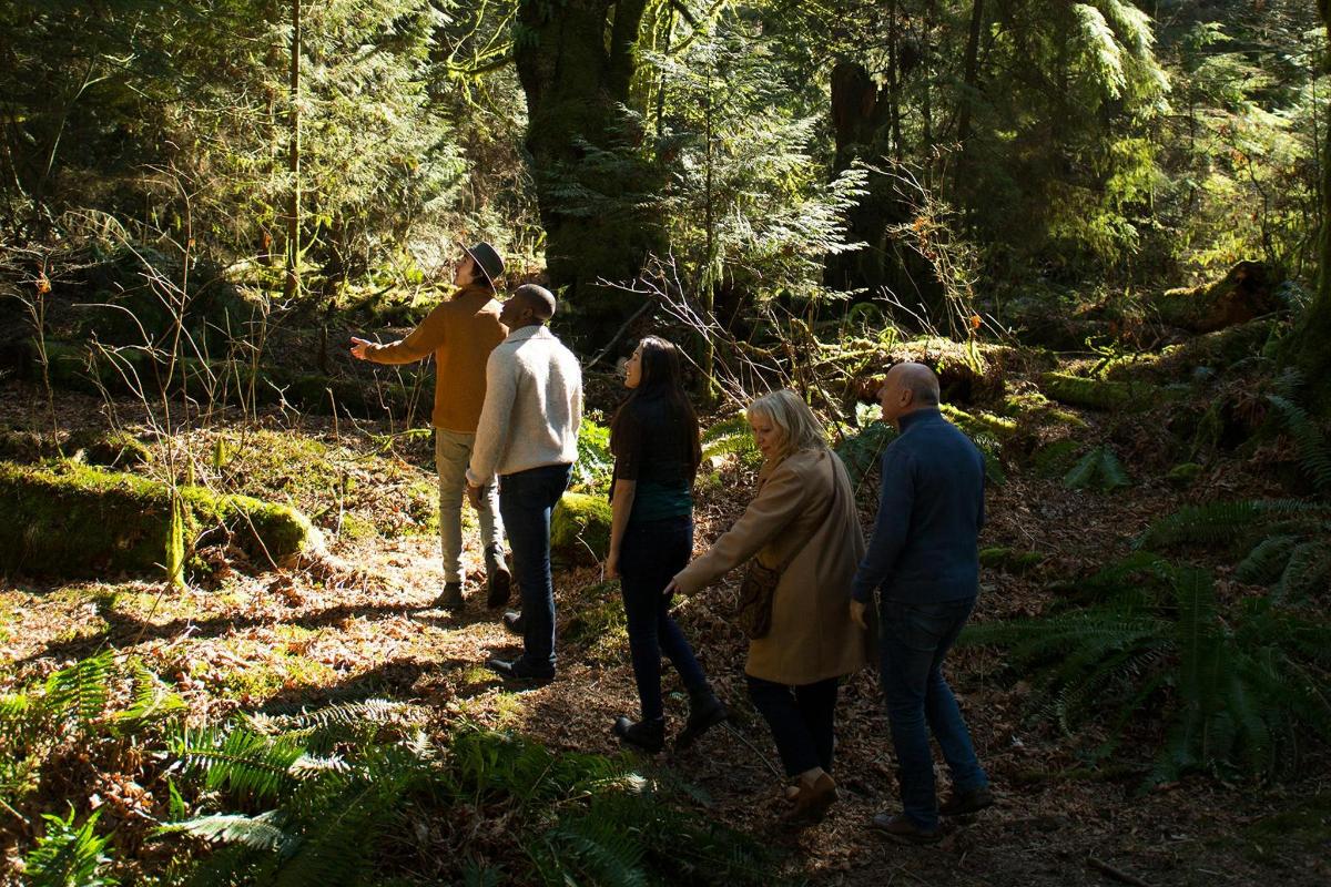 un grup de persones caminant pel bosc