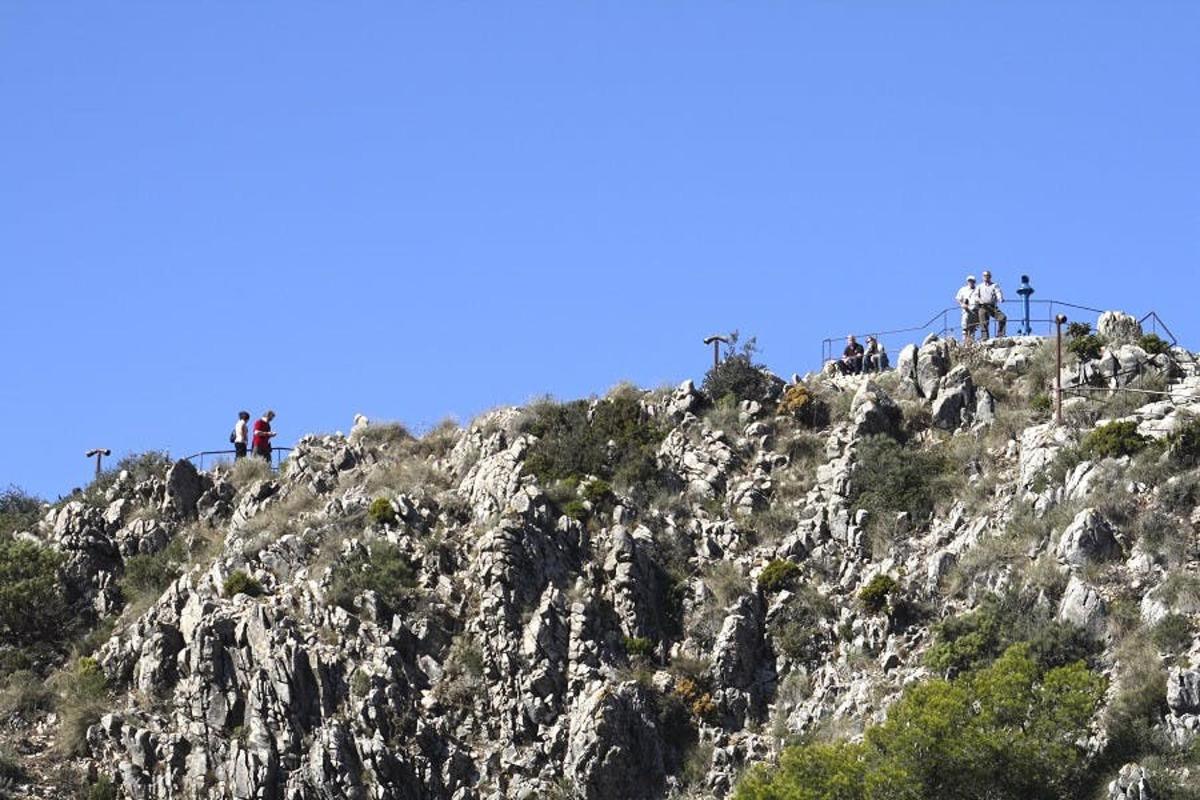 Lankytinos vietos ar pramogos nuotrauka numeris 5