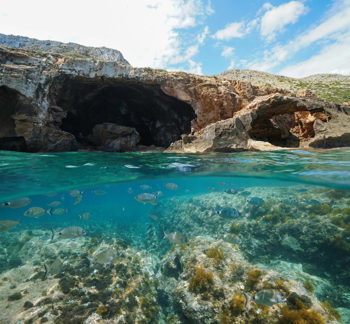 Φωτογραφία αξιοθέατου 2