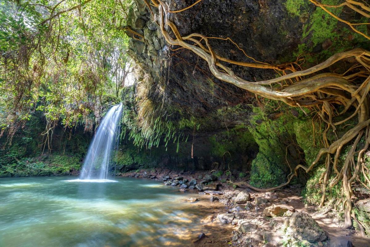 air terjun di dalam hutan dengan kolam air