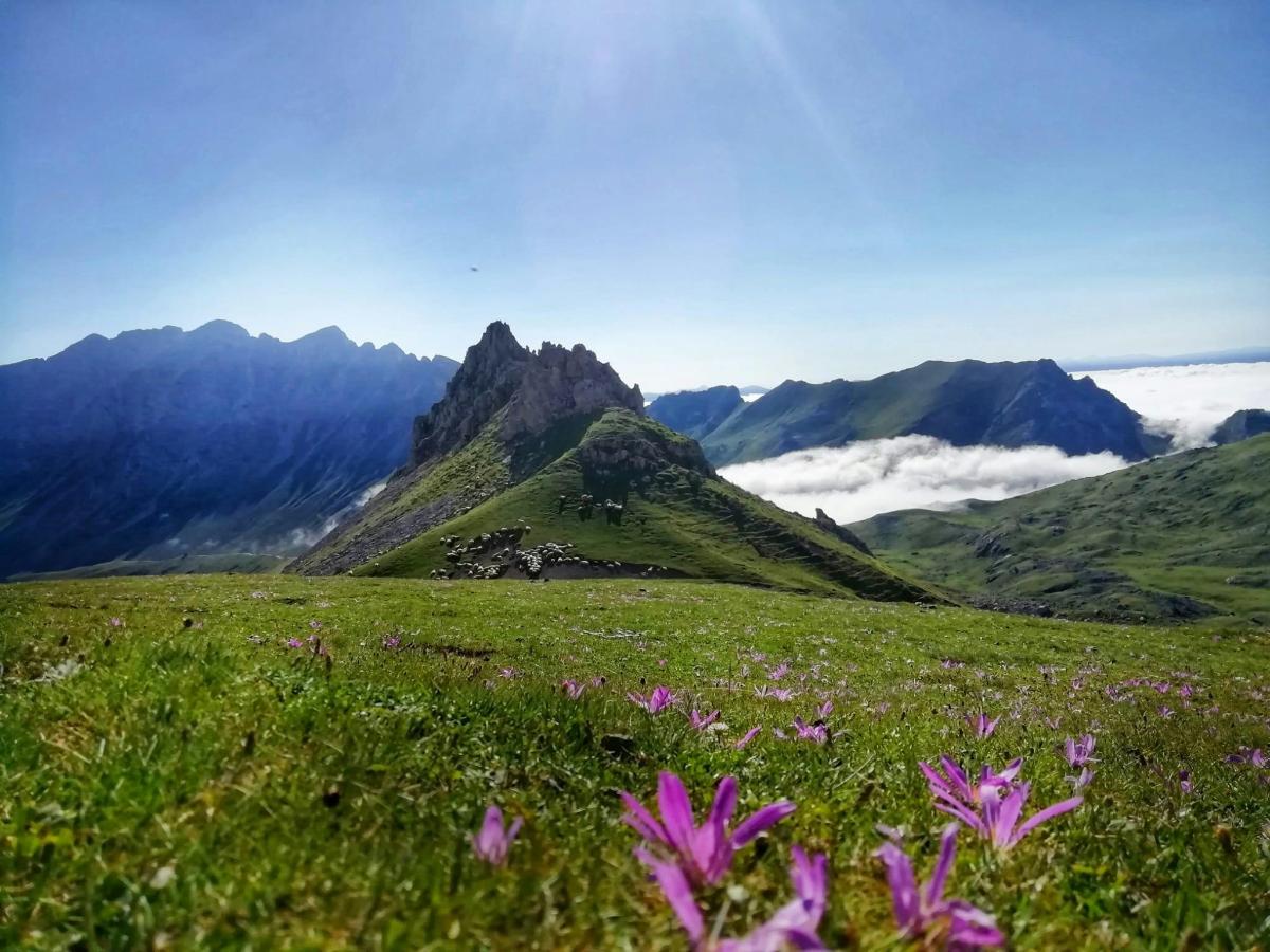 Fotografia 1 a atracției