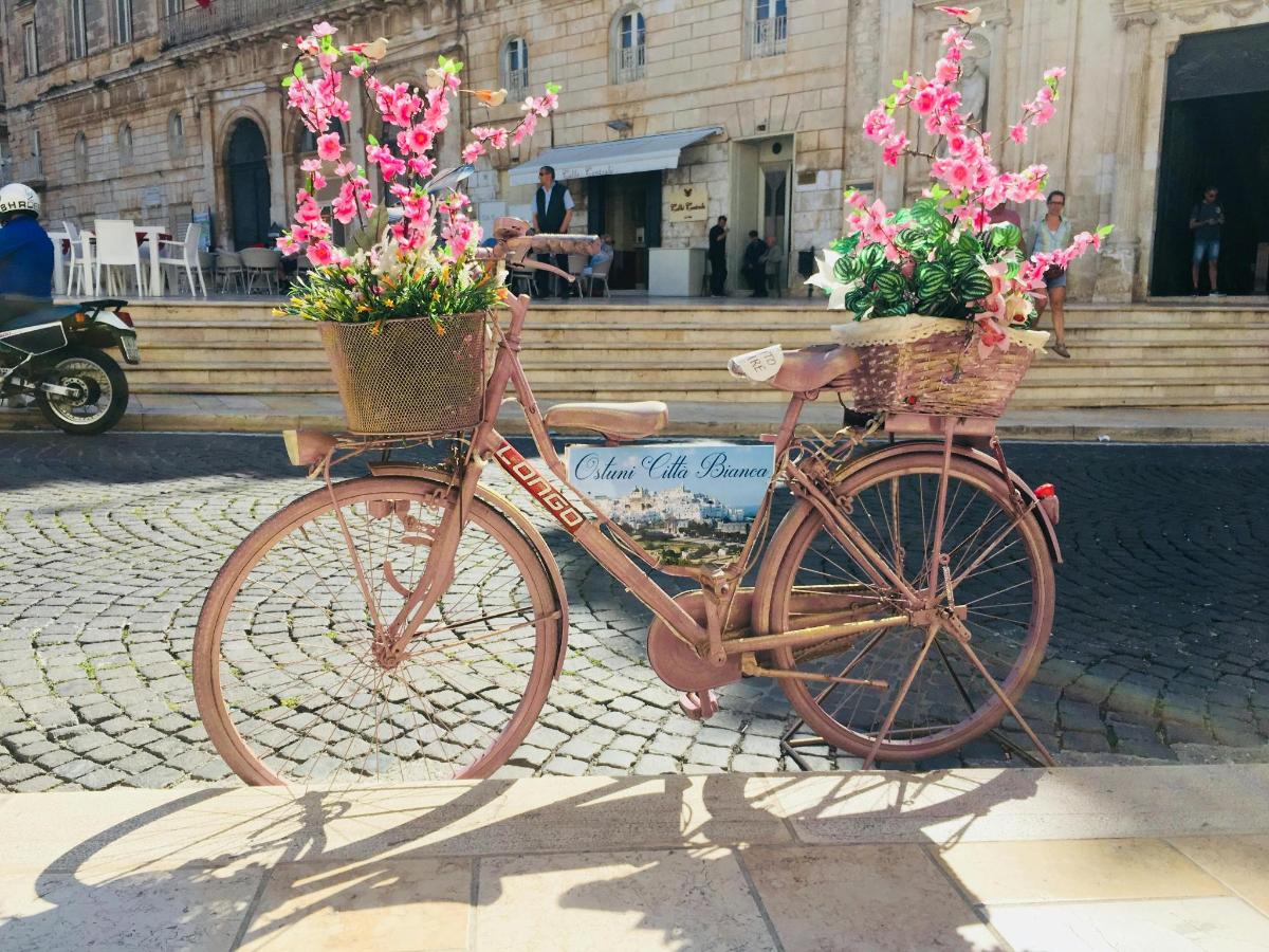 dues bicicletes aparcades una al costat de l'altra amb flors en cistelles