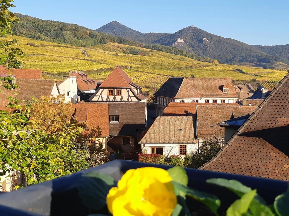 pohľad na mesto s domami a kopcami