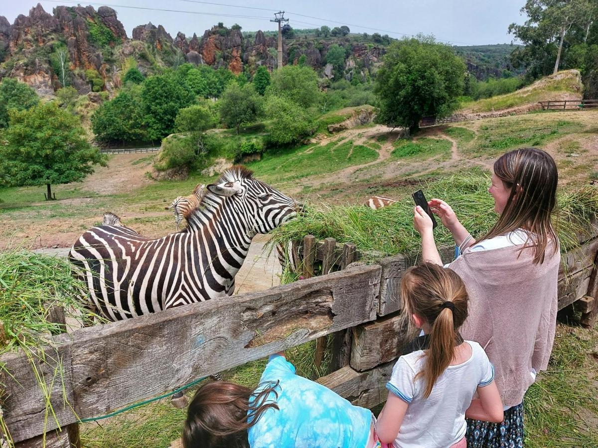 Photo de l’attraction numéro 5.