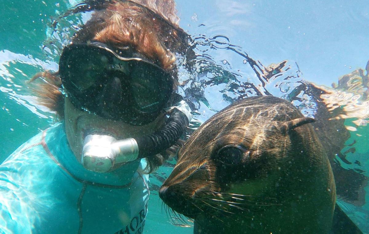 Lankytinos vietos ar pramogos nuotrauka numeris 1