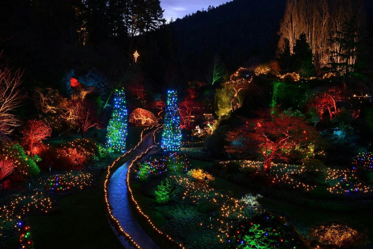 una mostra di luci natalizie in un giardino di notte