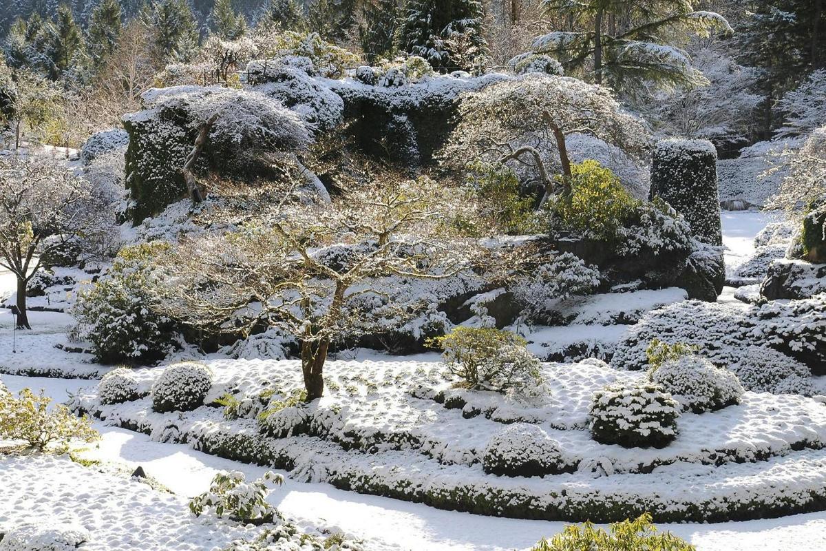 a garden covered in snow with trees and bushes