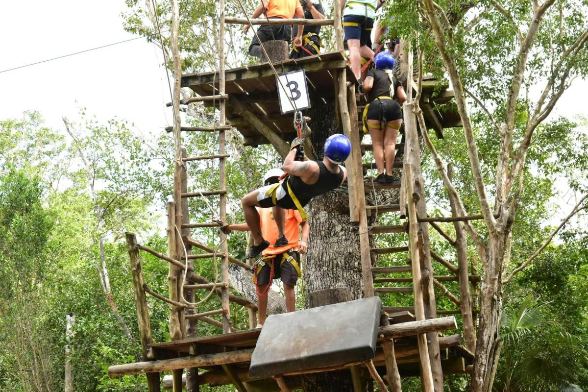 un grupo de personas trepando a un árbol