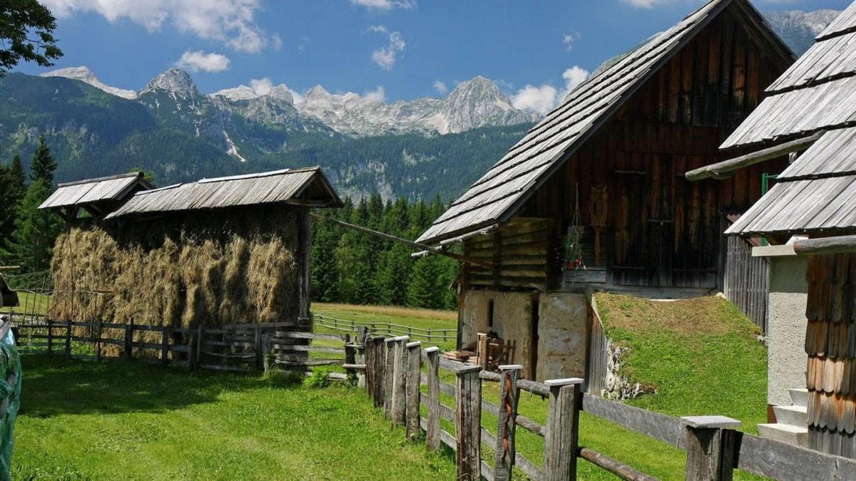 Фотография варианта досуга 5
