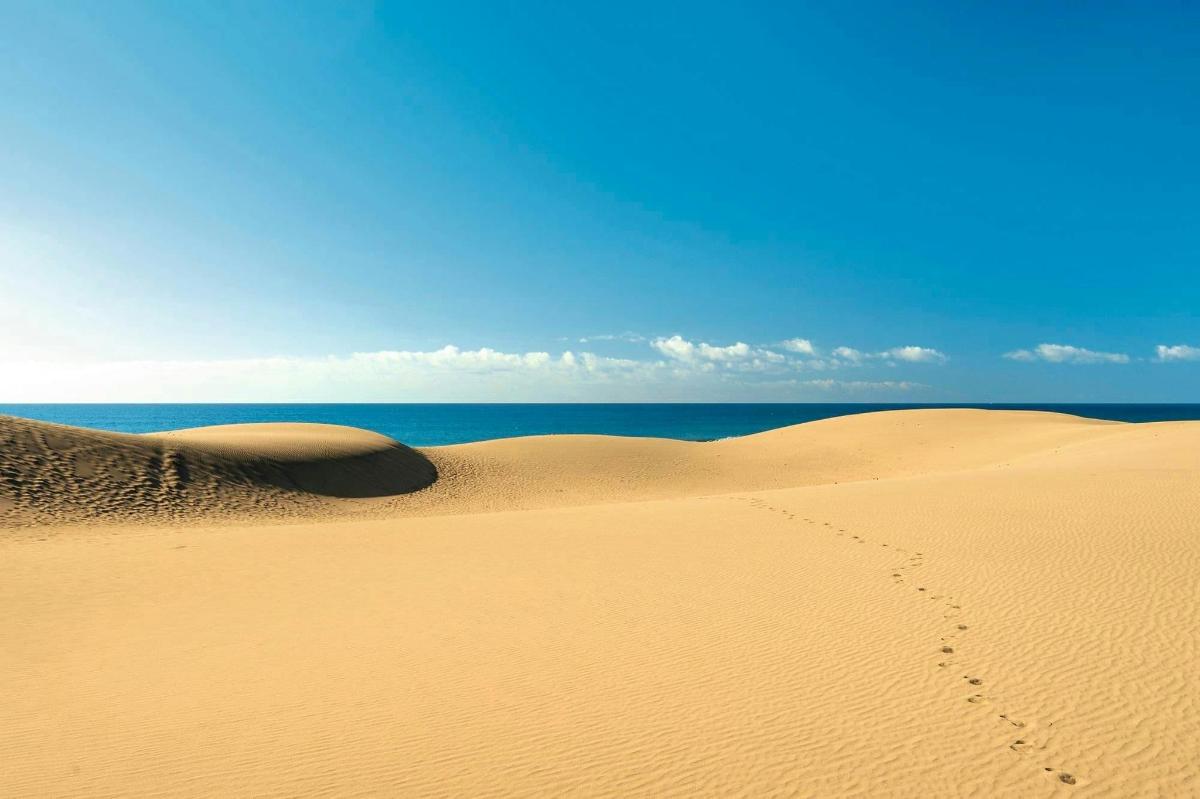 Lankytinos vietos ar pramogos nuotrauka numeris 3