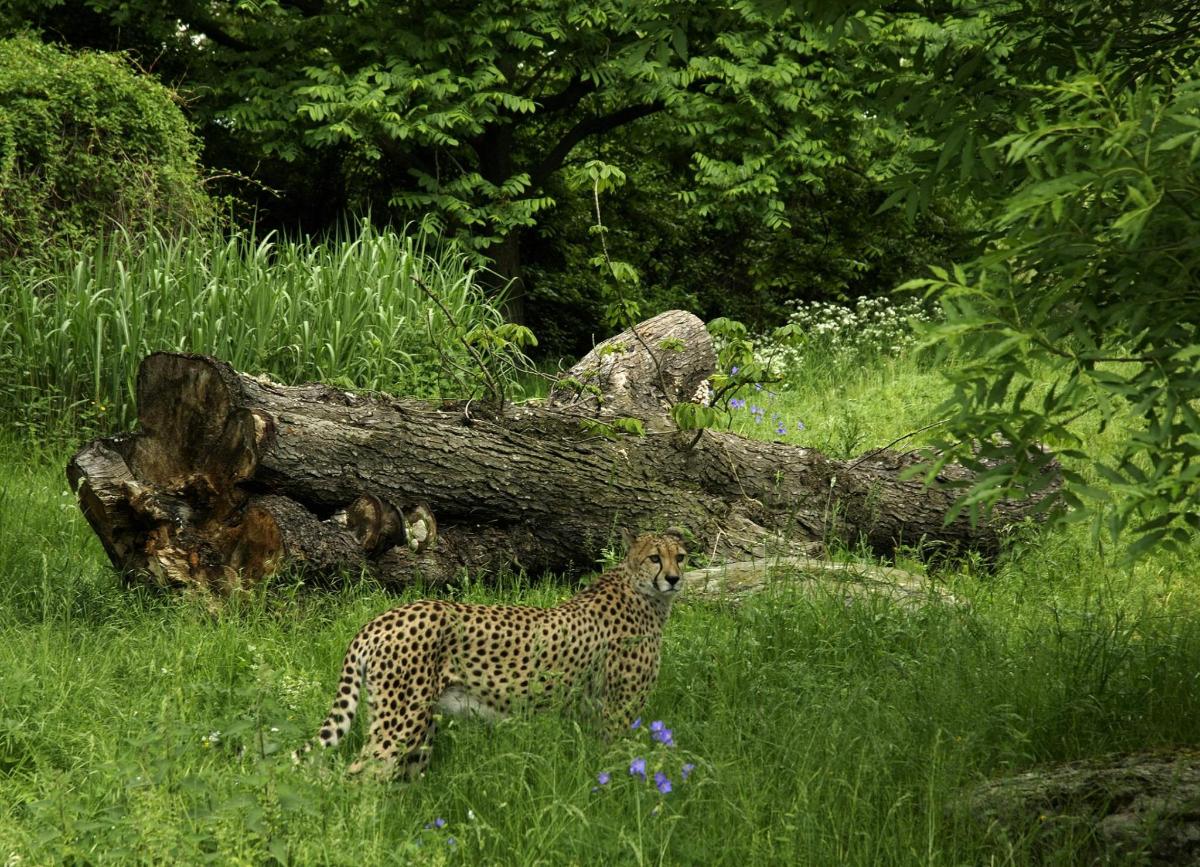 Turistik nokta fotoğrafı 3