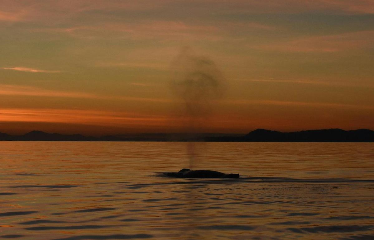 Fotografia da atração 2