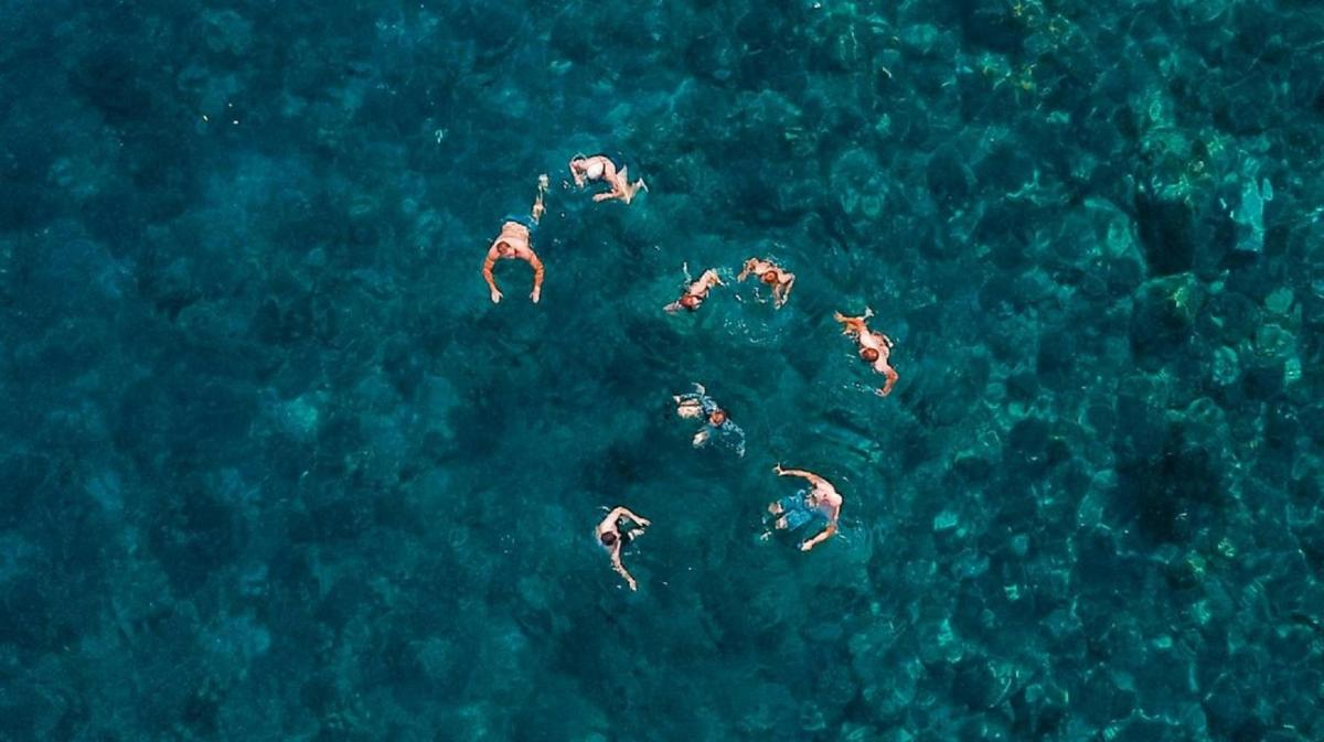 sekumpulan orang berenang di dalam air