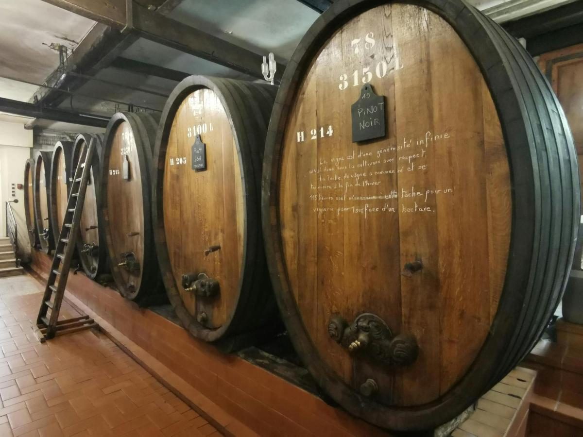 a row of wine barrels in a cellar