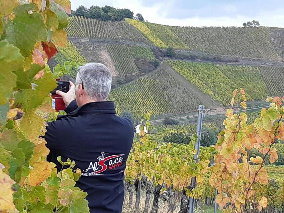 a man taking a picture of a vineyard with a camera