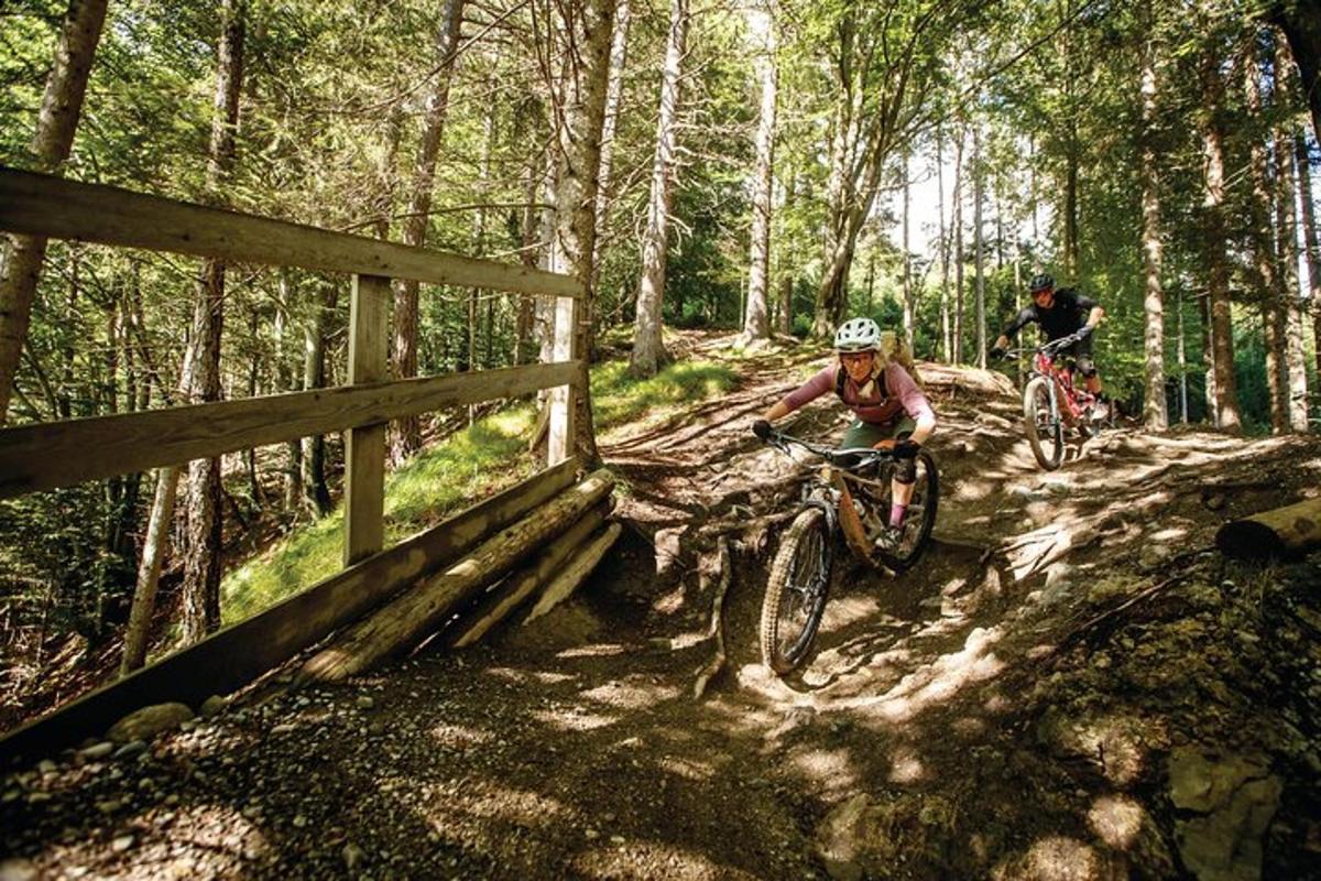 zwei Personen fahren mit dem Fahrrad auf einem Feldweg im Wald