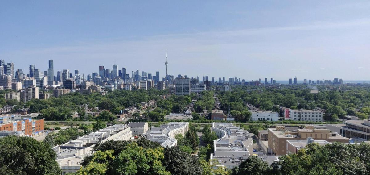 高楼林立的城市景观