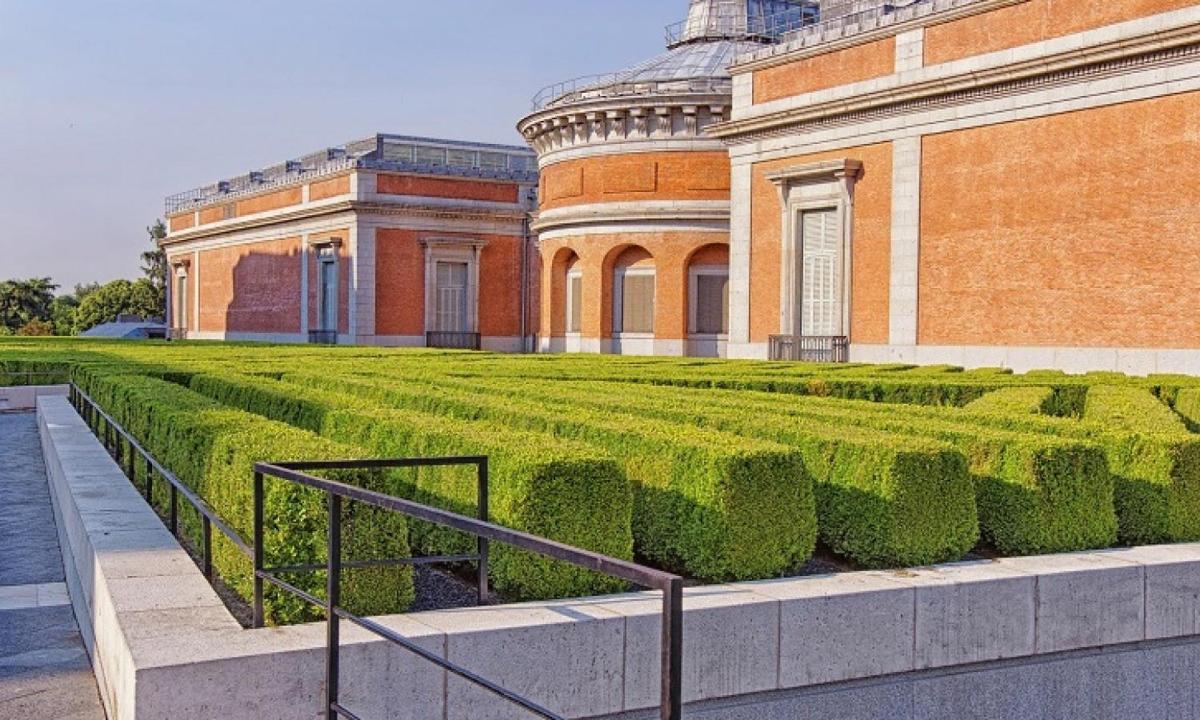 a row of hedges in front of a building
