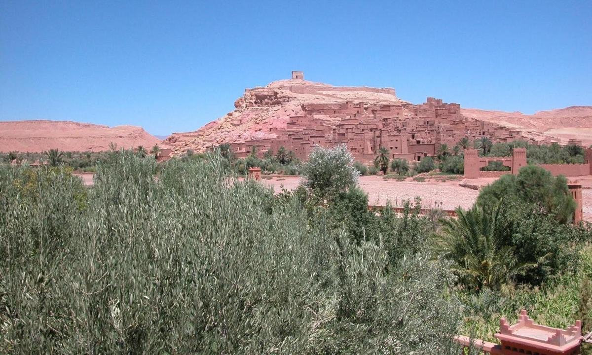 una montagna rocciosa nel mezzo di un deserto