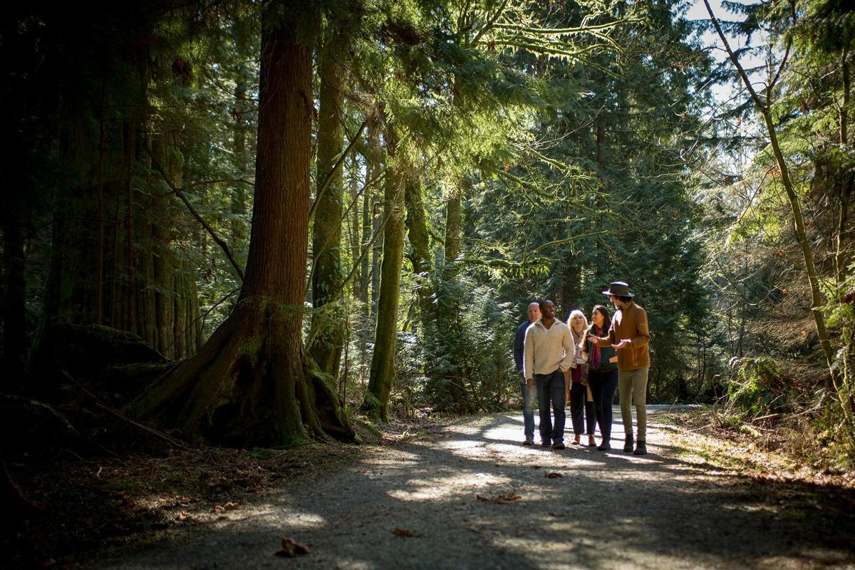 un grup de persones caminant per un camí forestal